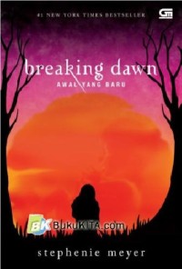 Image of Braking Dawn