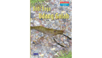 Image of Budi daya udang gala