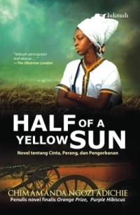 Image of Half of A Yellow Sun